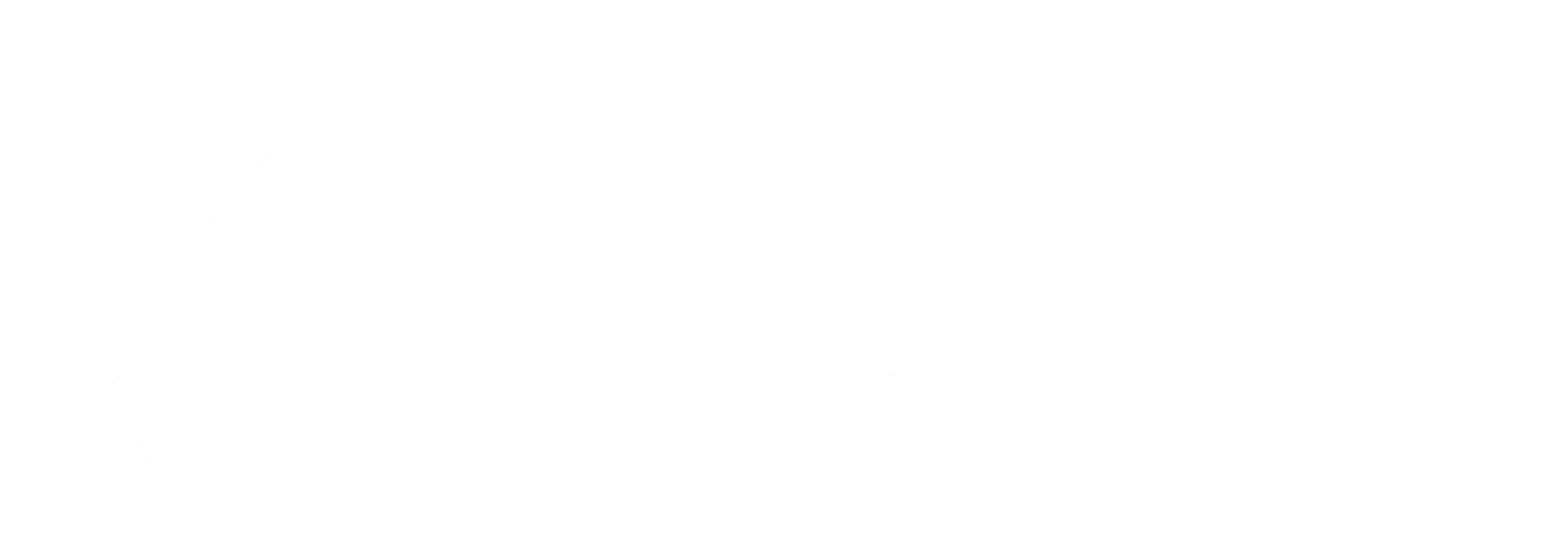 Aurora Plastic Surgery logo