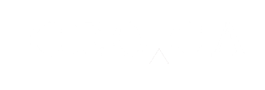 CEO.CA logo