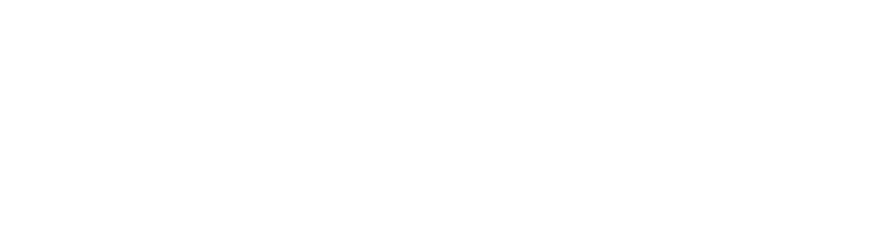 DNOVO logo